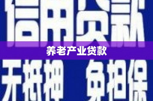 虹口养老产业贷款