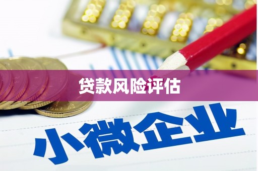 虹口贷款风险评估